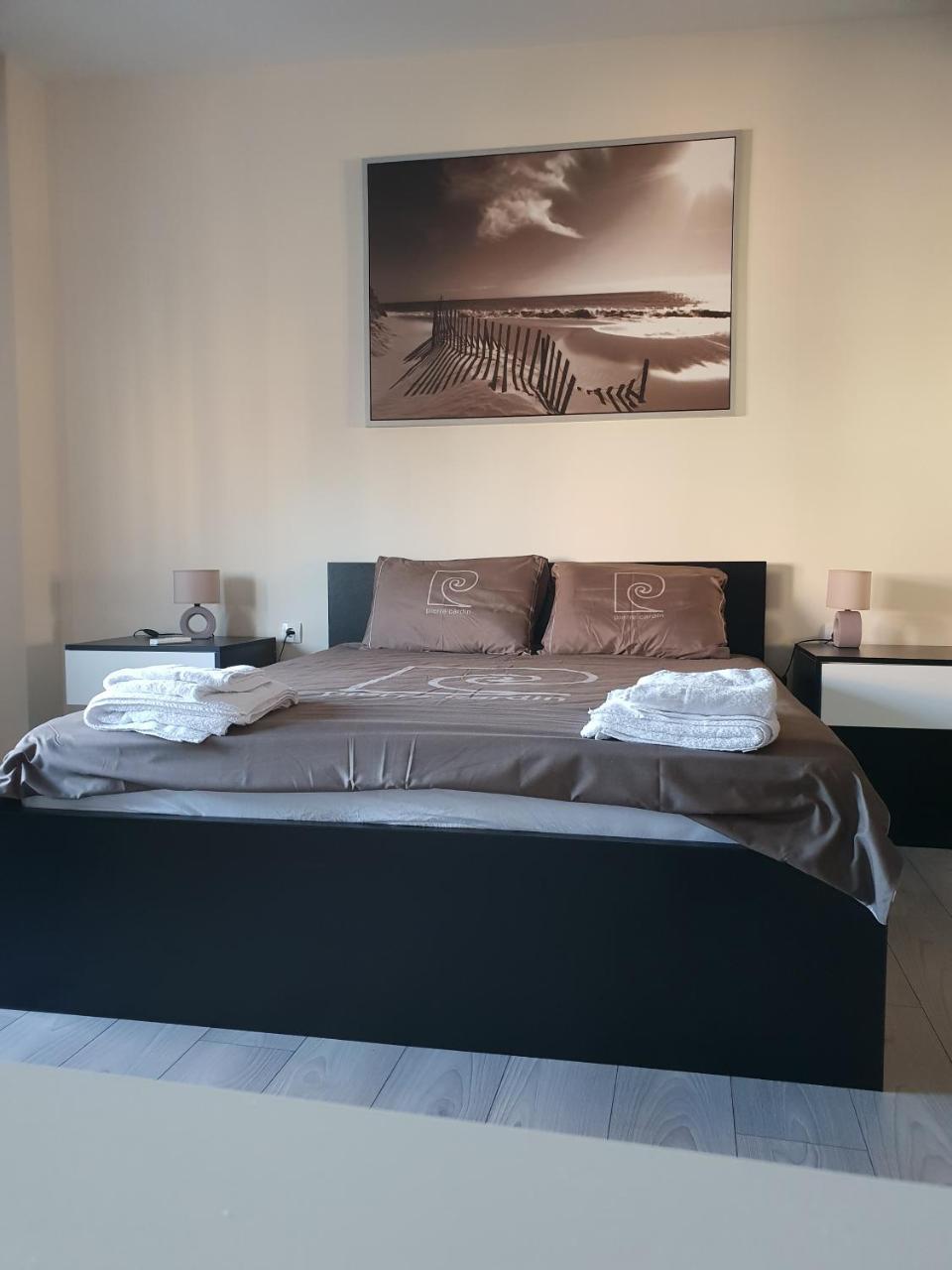Z&N Luxury Belgrade Appartment - City Center ภายนอก รูปภาพ